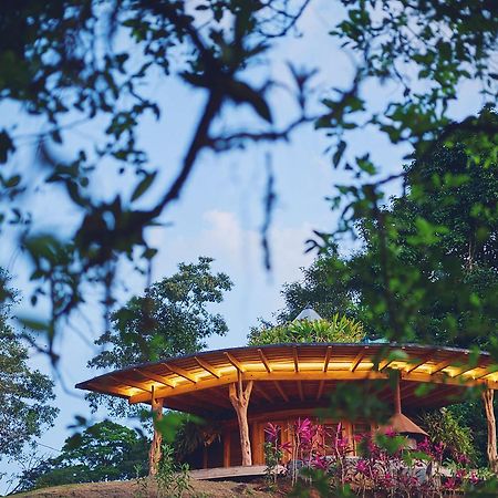 Origins Lodge Bijagua Kültér fotó